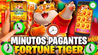 plataforma tiger fortune imagem de tela 5